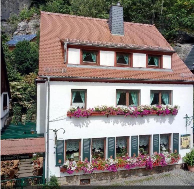 Pension Fuhrmann'S Elb- Cafe Bad Schandau Exterior foto